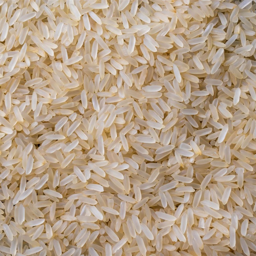 Royal Gold Sela